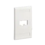 [Nexus:syscom] 1 - Placa de Pared Vertical Clásica, Salida Para 2 Puertos Mini-Com, Con Espacios Para Etiquetas, Color Blanco Mate CFPL2IWY imagen 1