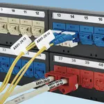 [Nexus:syscom] 5 - Kit de 10 Dispositivos para Bloquear Puertos Jack RJ45, Color Rojo, Incluye Llave de Extracción PSL-DCJB imagen 5