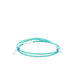 [Nexus:syscom] 1 - Cable de Parcheo UTP Categoría 6, con Plug Modular en Cada Extremo - 1.5 Metros (4.92 Pies) - Verde NK6PC5GRY imagen 1