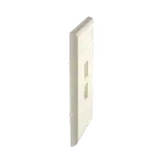 [Nexus:syscom] 3 - Placa de Pared Vertical, Salida Para 2 Puertos Keystone, Con Espacios Para Etiquetas, Color Marfil NK2FEIY imagen 3