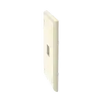 [Nexus:syscom] 3 - Placa de Pared Vertical, Salida Para 1 Puerto Keystone, Con Espacios Para Etiquetas, Color Marfil NK1FEIY imagen 3