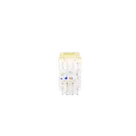 [Nexus:syscom] 1 - Conector Jack Estilo 110 (de Impacto), Tipo Keystone, Categoría 5e, de 8 Posiciones y 8 Cables, Color Marfil NKP5E88MEI imagen 1