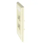 [Nexus:syscom] 3 - Placa de Pared Vertical Clásica, Salida Para 4 Puertos Mini-Com, Con Espacios Para Etiquetas, Color Marfil CFPL4EIY imagen 3