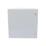 [Nexus:syscom] 1 - Gabinete de Acero IP66 Uso en Intemperie (600 x 600 x 300 mm) con Placa Trasera Interior Metálica y Compuerta Inferior Atornillable (Incluye Chapa y Llave T). PST-6060-30A imagen 1