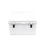 [Nexus:syscom] 1 - Gabinete de Plástico ABS, Uso en Intemperie ip66 (300 x 300 x 180 mm) Cierre por Broche Inoxidable y Permite Cerrado con Candado y Llave (Perno 5mm) No Incluido PST-3030-18E imagen 1