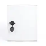 [Nexus:syscom] 7 - Gabinete de Poliéster IP65 Uso en Intemperie (250 x 300 x 140 mm) con Placa Trasera Interior de Plástico (Incluye Chapa y Llave). PST-2530-14P imagen 7