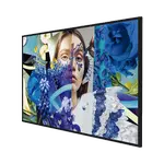 [Nexus:syscom] 10 - Pantalla LED de 50" para Publicidad Digital / SLIM / Alto Brillo / Programación de Horarios / 700 Nits / Contenido Personalizado / Sistema Operativo Android / 2 Entradas USB / WiFi DS-D6050UH-DP imagen 10