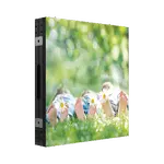 [Nexus:syscom] 1 - Modulo LED Full Color para Videowall / Pixel 4 mm / Resolución 240 X 240 / Gabinete de Metal / Uso en Exterior (IP65) / Publicidad en Exterior DS-D4440FO-BKI imagen 1