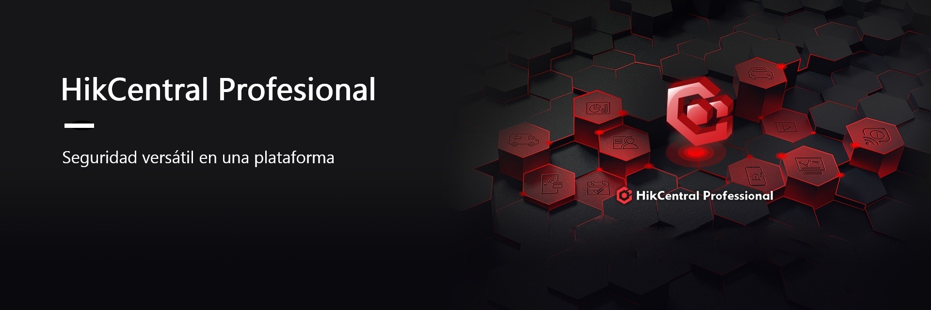 HikCentral Professional License