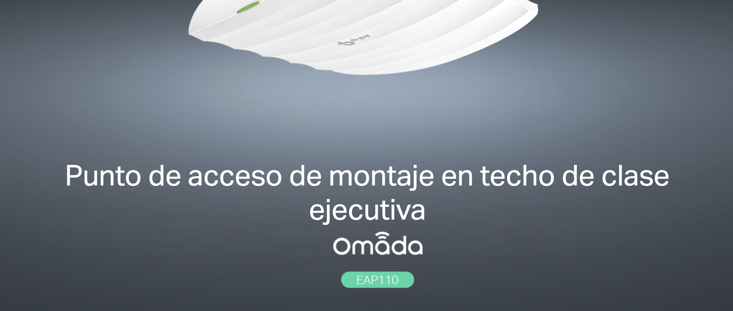 Punto de Acceso Omada EAP110