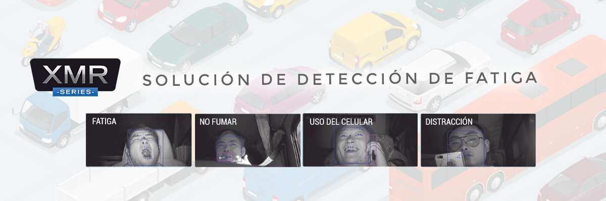Banner DSM
